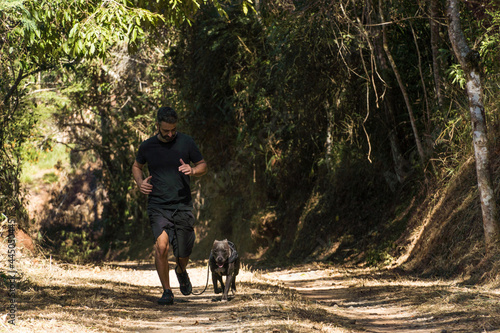 Man and his pit bull dog running on the dirt road. He and the pitbull exercising. Sunny day with shadows under the trees.