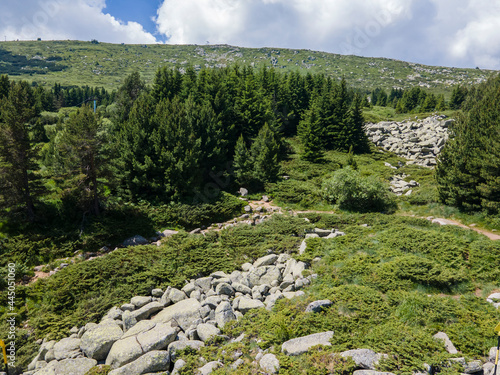 Aerial view of Morenite (Moraines) - Stone river at Vitosha Mountain, Bulgaria