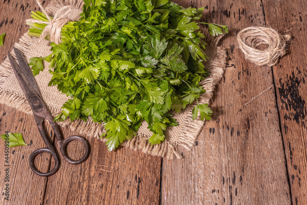 Fresh parsley as a cooking concept on an old wooden table Fresh parsley as a cooking concept on an old wooden table