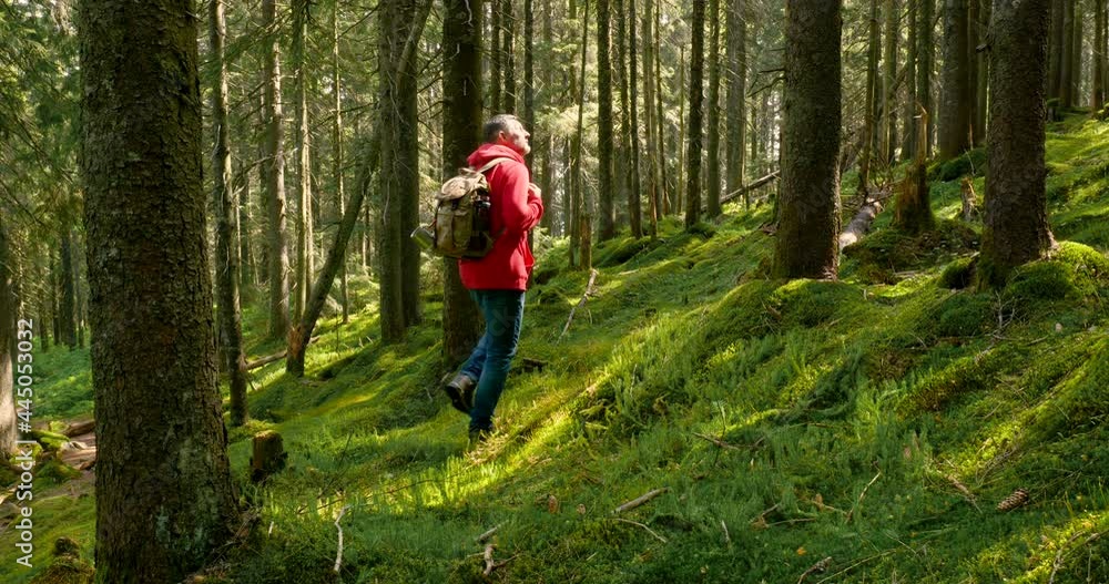 Tourist guy with backpack hiking on an adventure trip in natural landscape Tourist guy with backpack hiking on an adventure trip in natural landscape