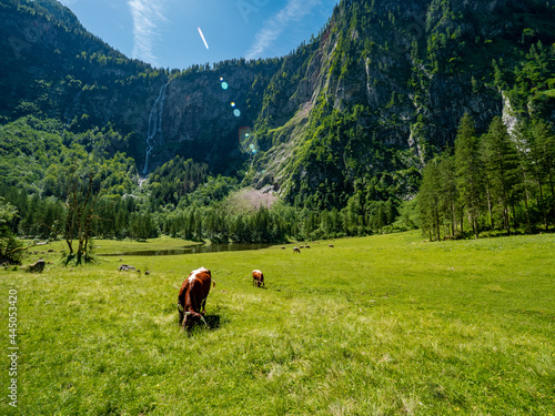 Röthbachfall, Nationalpark Berchtesgaden, an einem sonnigem Sommertag 