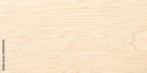 wood texture  top view. light wood background. natural pattern on a wooden surface