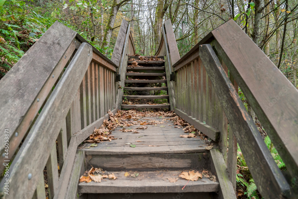 Straight stairway with central landing and handrailings in the forest of Tacoma in Washington