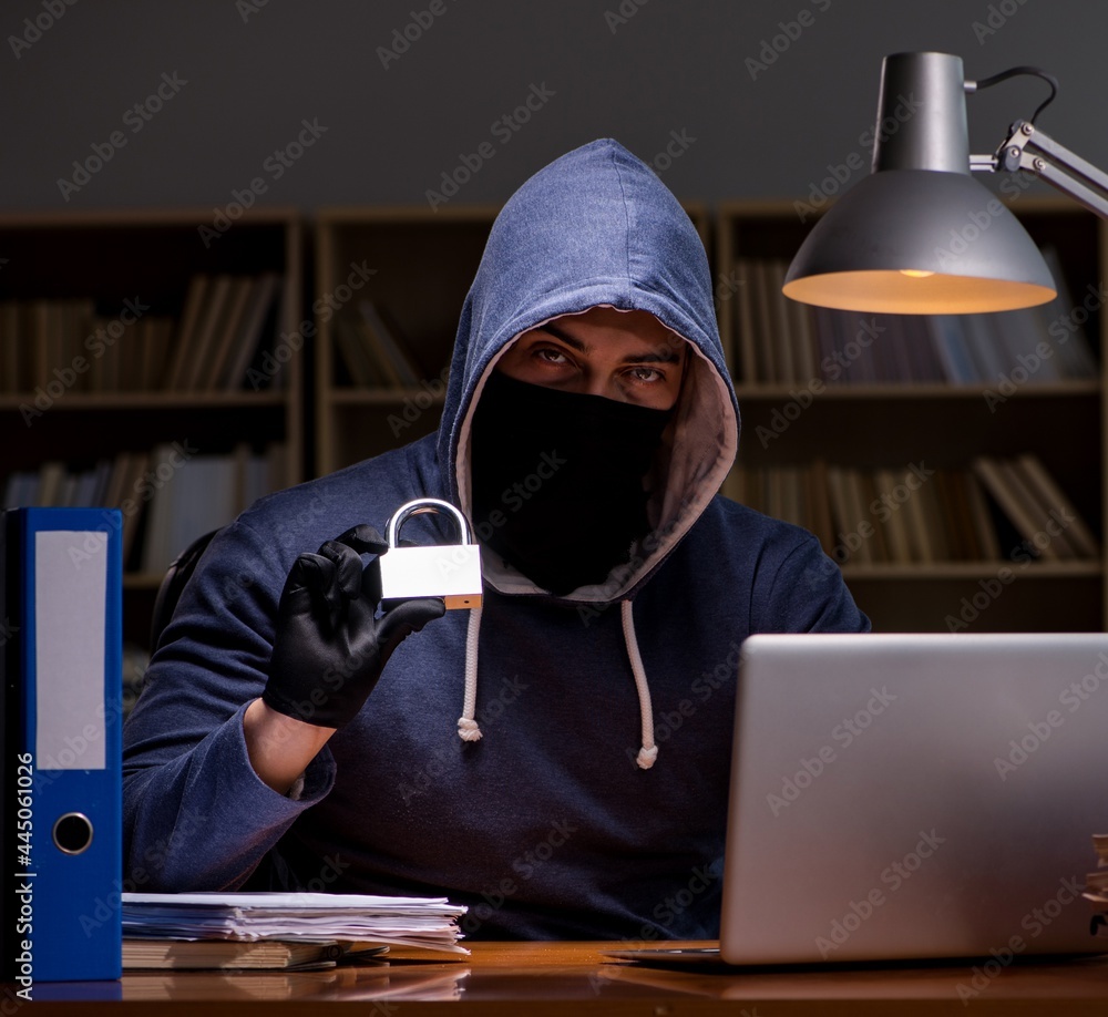 Hacker stealing personal data from home computer Hacker stealing personal data from home computer