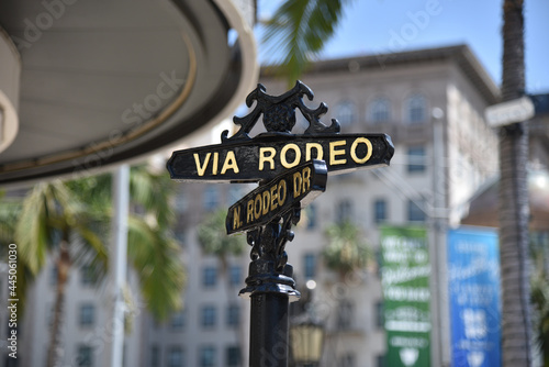 Famous Rodeo Drive Street Sign