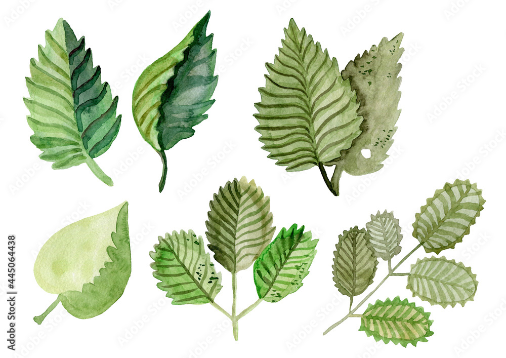 A set of watercolor leaves by hand is suitable for invitations, postcards, scrapbooking A set of watercolor leaves by hand is suitable for invitations, postcards, scrapbooking