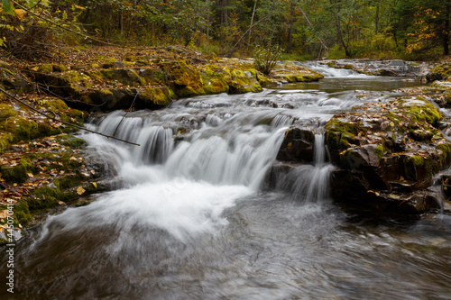 Sikhote-Alin Biosphere Reserve. Far Eastern autumn taiga. A clean forest river flows among dense forests and tall trees.