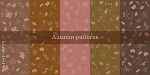  Autumn and winter concept patter collection. Autumn leaves and acorns and berries decoration on boho tone colors background. Autumn patter vector illustration.