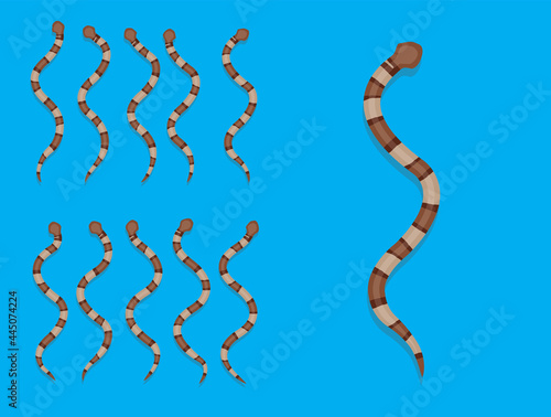 Animal Animation Sequence Copperhead Snake Cartoon Vector