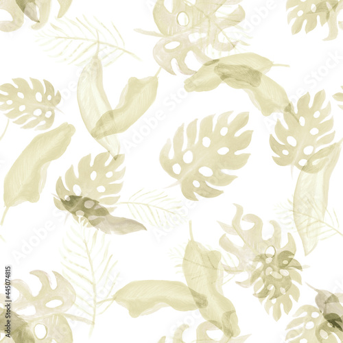 White Seamless Painting Nature Jungle. Gray Pattern Monstera. Brown Watercolor Garden. Tropical Monstera. Floral Jungle. Summer Design. Isolated Design.