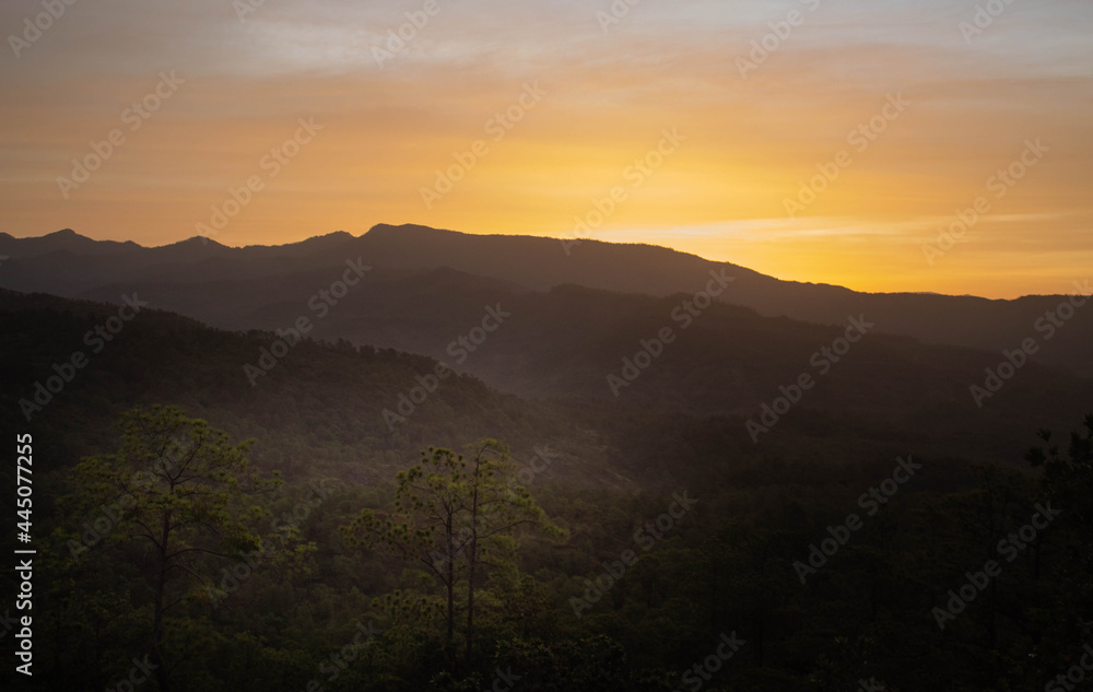 Amanecer en Honduras, los bolsones, luz del nuevo día, montañas de coníferas, pinos, potreros, ganados, pumas,  cerros de lobos