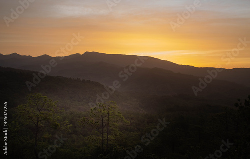 Amanecer en Honduras, los bolsones, luz del nuevo día, montañas de coníferas, pinos, potreros, ganados, pumas,  cerros de lobos © Bairon