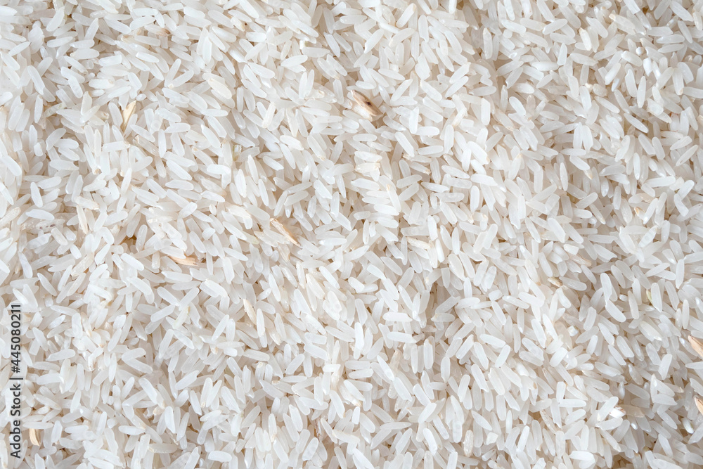full frame rice with paddy full frame rice with paddy