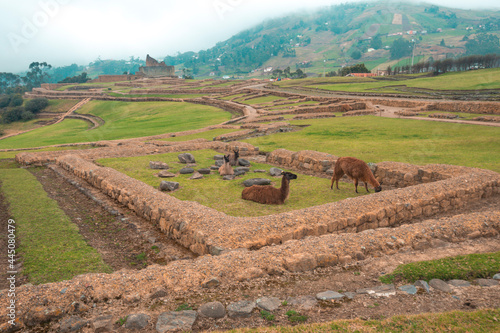 Ingapirca the largest known Inca ruins in Ecuador. photo