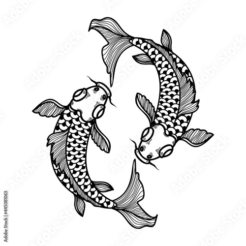 Illustration of carp koi. Design element for poster, card, banner, menu. Vector illustration