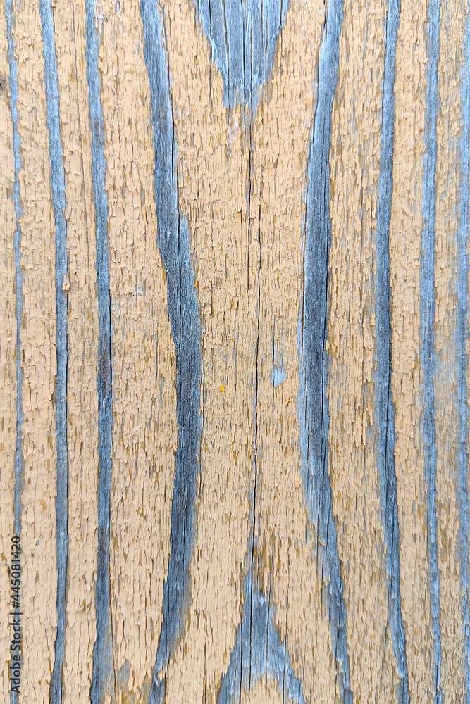 Fragment of an old painted board Fragment of an old painted board