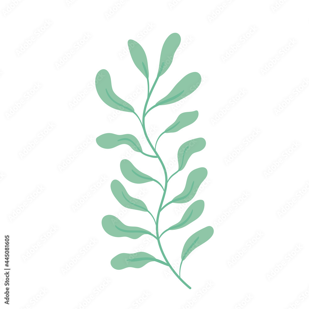 Fototapeta premium branch leaves plant