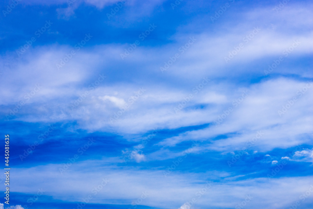 Fototapeta premium Clear blue sky after the rain