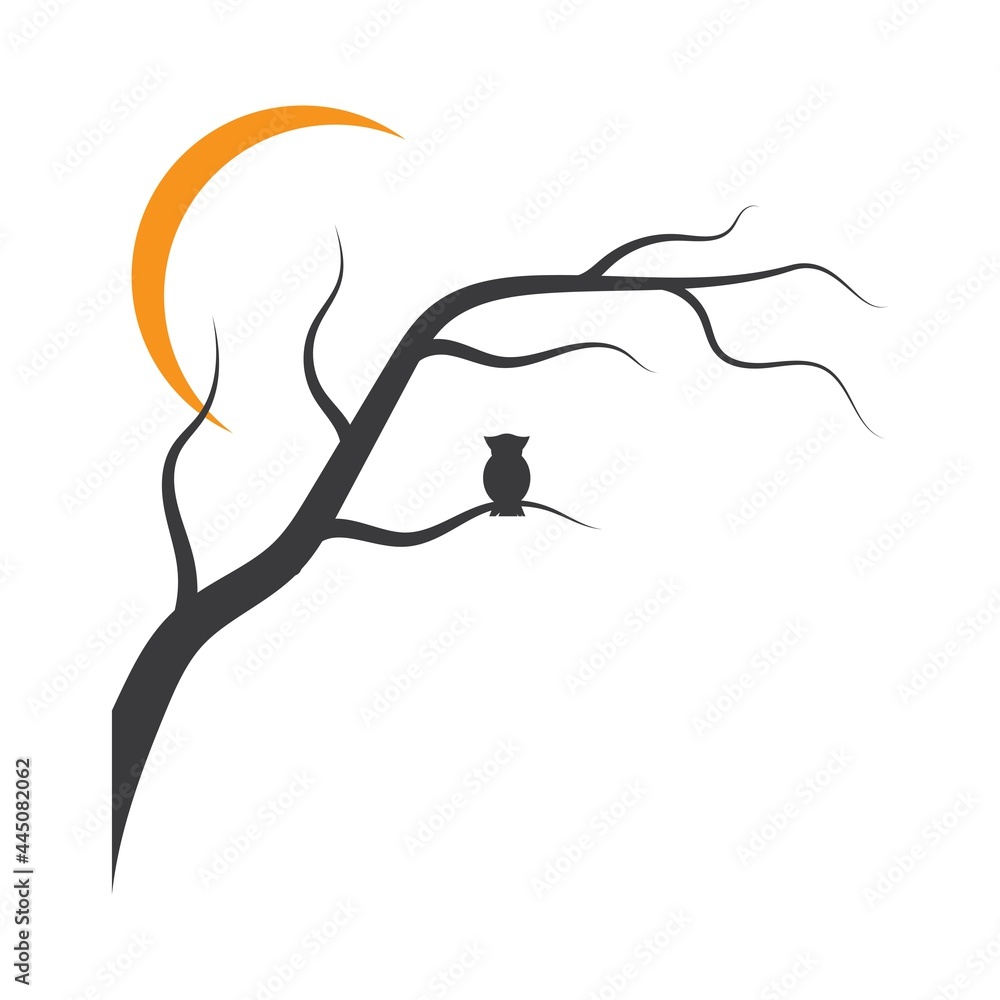 Fototapeta premium Old tree nature