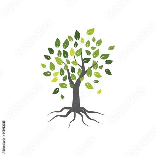 Tree nature illustration