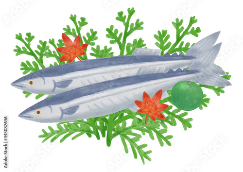 秋の食べ物　さんま　手描きイラスト