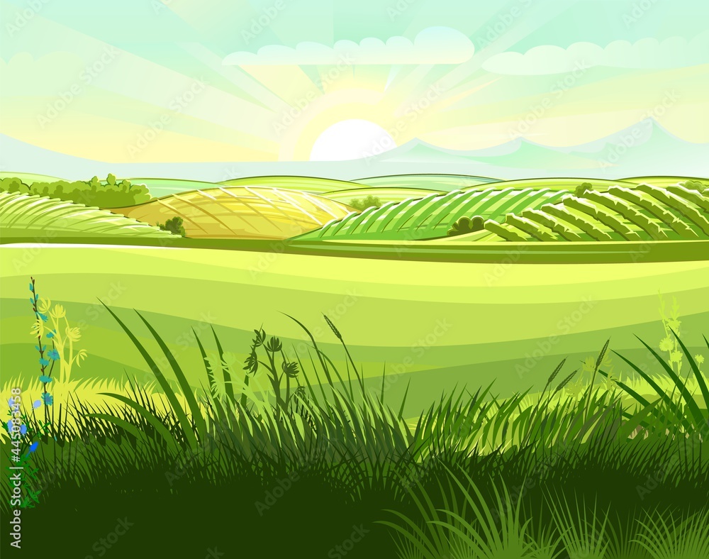 Meadow hills with vegetable gardens and fields. Rangelands and pastures. Rural landscape. Out-of-town scenery with plots of land for agricultural processing. Farmland and farm location. Vector Meadow hills with vegetable gardens and fields. Rangelands and pastures. Rural landscape. Out-of-town scenery with plots of land for agricultural processing. Farmland and farm location. Vector