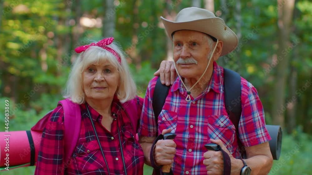Portrait of senior elderly grandmother grandfather training Nordic walking with ski trekking poles in wood. Old man woman tourists hiking with sticks in forest. Active rest outdoors of mature couple Portrait of senior elderly grandmother grandfather training Nordic walking with ski trekking poles in wood. Old man woman tourists hiking with sticks in forest. Active rest outdoors of mature couple