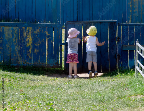 Two three-year-old children, a boy and a girl, look over the fence.