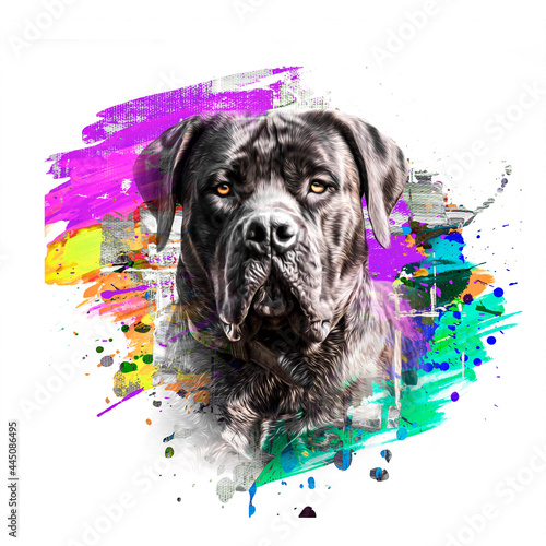 english bulldog cute dog head with creative abstract elements on white background