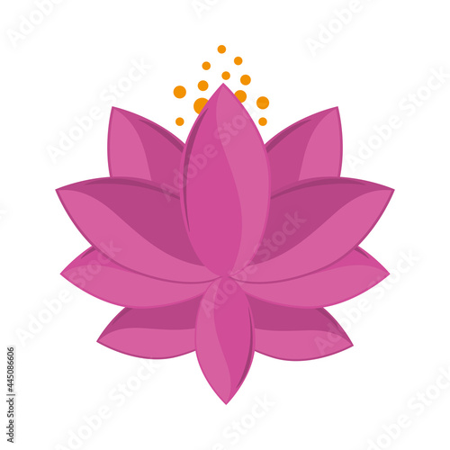 lotus flower decoration