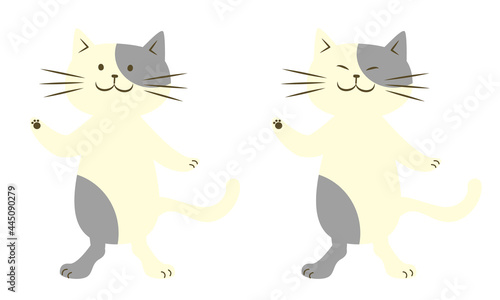白黒のブチ猫キャラクターイラスト