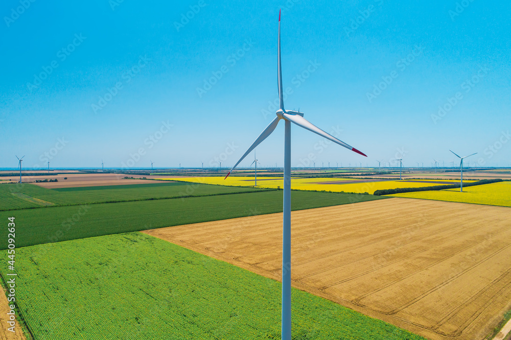 Blue sky and wheat field with wind turbines generating electricity