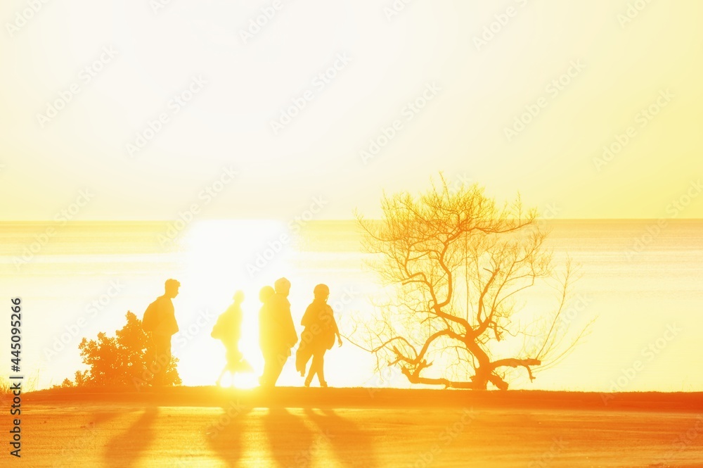 Silhouettes of people and a cyclist on the shore of the Caribbean Sea against the backdrop of the setting sun and a lonely tree. Road, bright sunlight.