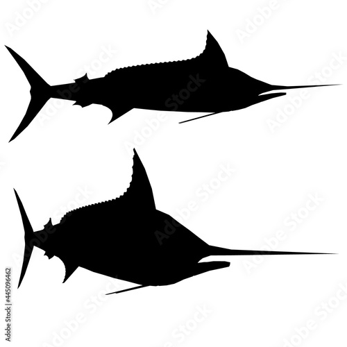 Silhouette of a fish with a pointed nose isolated on a white background. Side view. Vector illustration