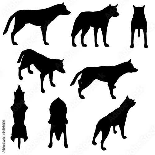 Set with silhouettes of a dog in different positions isolated on a white background. Vector illustration
