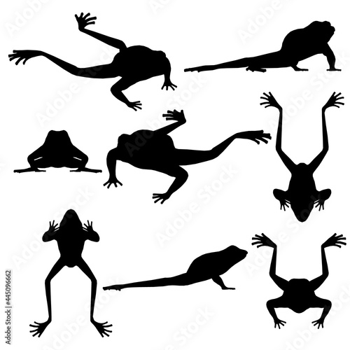 Set with silhouettes of frogs in different positions isolated on a white background. Vector illustration