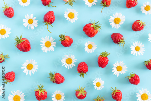 Bright summer background made with natural chamomile flowers and strawberry on blue. Summertime wallpaper. Top view Flat lay