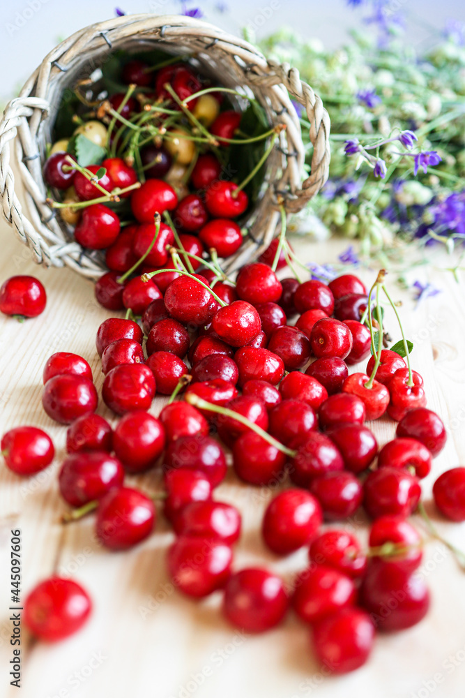 Ripe, juicy red cherries on a wooden table. Summer background with flowers and fruits. Harvest berries in a basket. Ripe, juicy red cherries on a wooden table. Summer background with flowers and fruits. Harvest berries in a basket.
