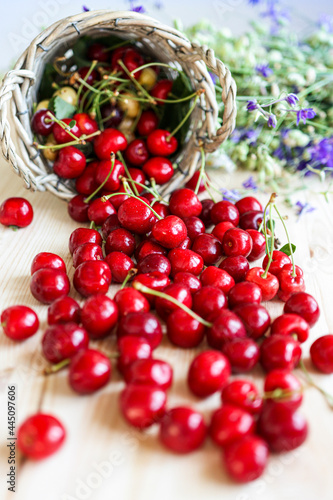 Ripe  juicy red cherries on a wooden table. Summer background with flowers and fruits. Harvest berries in a basket.