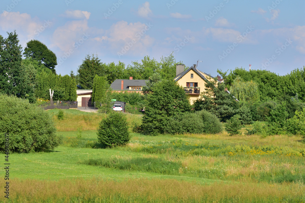 View of the estate of detached houses among trees and green meadows. Summer. Day. View of the estate of detached houses among trees and green meadows. Summer. Day.