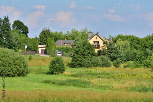 Wallpaper Mural View of the estate of detached houses among trees and green meadows. Summer. Day. Torontodigital.ca