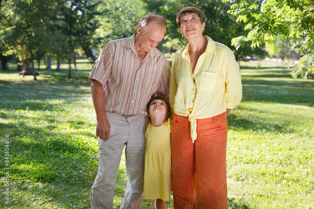 Little child girl hugs grandparents On Walk in the summer outdoors. Concept of friendly family.
Little child girl hugs grandparents On Walk in the summer outdoors. Concept of friendly family.