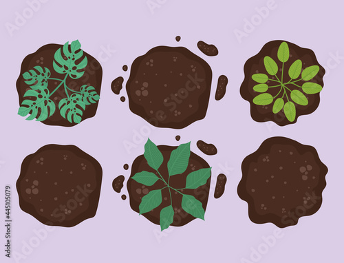 Canvas Print six plants on earth