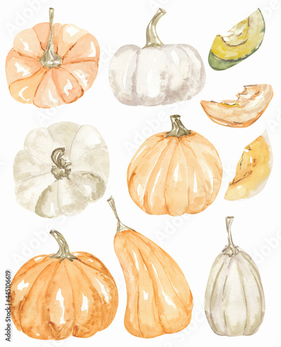 Watercolor pumpkins set, fall autumn vegetable illustration