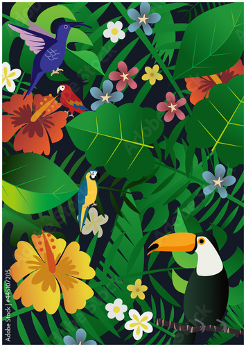 夏　南国　ジャングル　亜熱帯　背景