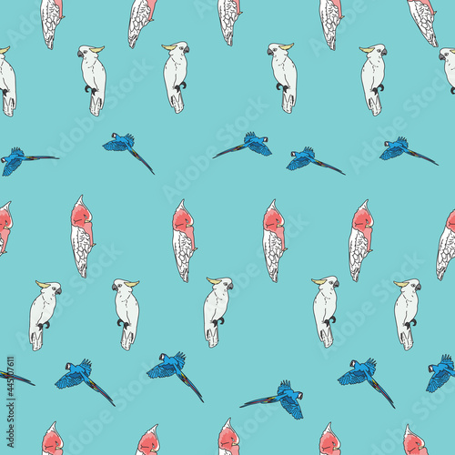 Vector blue background tropical birds, parrots, macaw, exotic cockatoo birds. Seamless pattern background