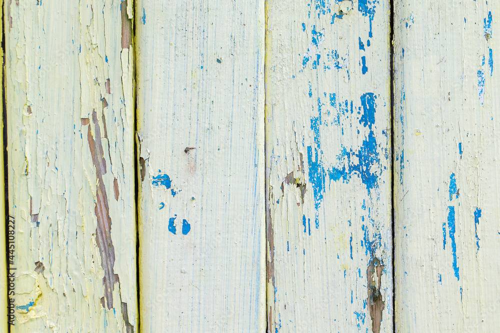 Wooden cracked background of an old white fence with blue paint beaches.