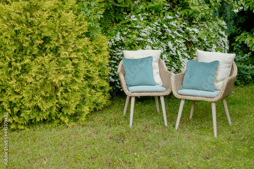 2 garden chairs next to a bush with white flowers. Woven chairs outside in the garden on the lawn. Relax outside in nature 