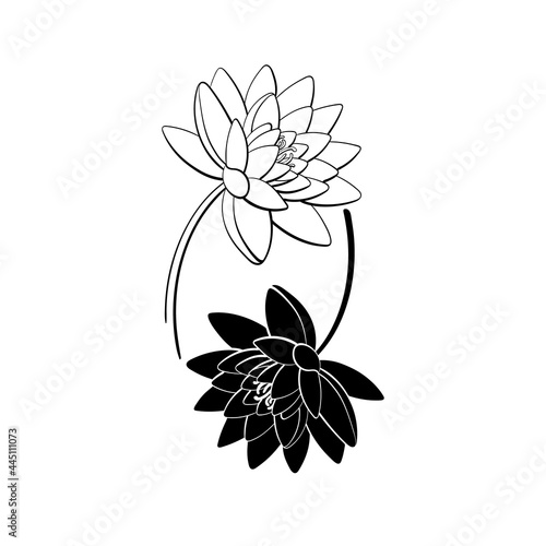 Lotus flower. Black and white tattoo. Yin symbol