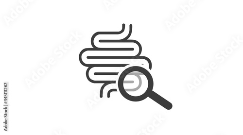 Human colon medical examination vector icon. Human colon medical examination vector icon. Illustration of human digestive system with magnifying glass
